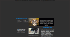 Desktop Screenshot of happydogsday-care.com