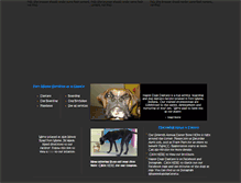Tablet Screenshot of happydogsday-care.com